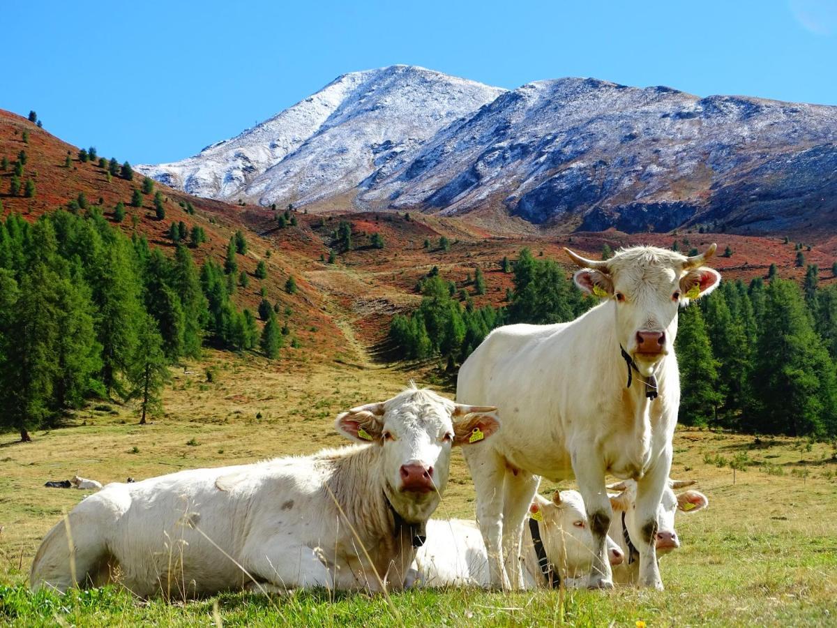Alpenfrieden - Naudersアパートメント エクステリア 写真